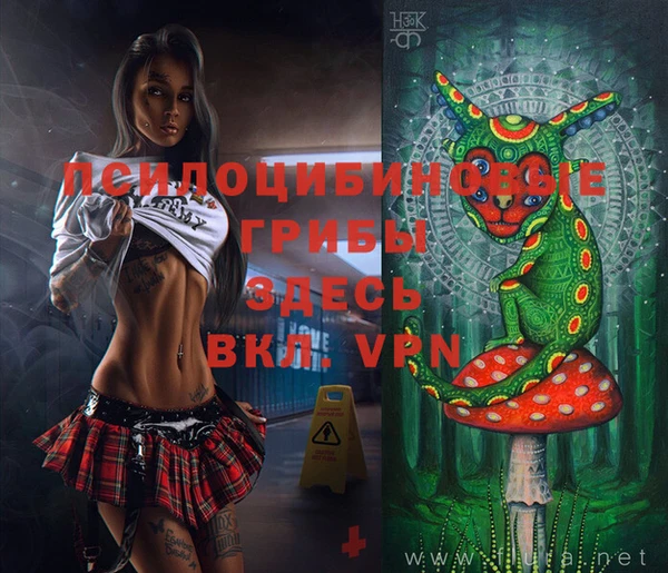 ALPHA PVP Алзамай