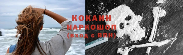 индика Ростов
