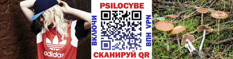 Галлюциногенные грибы MAGIC MUSHROOMS  даркнет Telegram  Зверево  даркнет сайт 